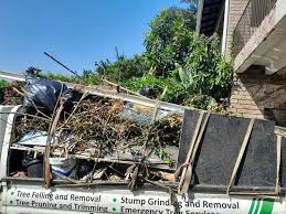 Best Shed Removal  in Dunnellon, FL
